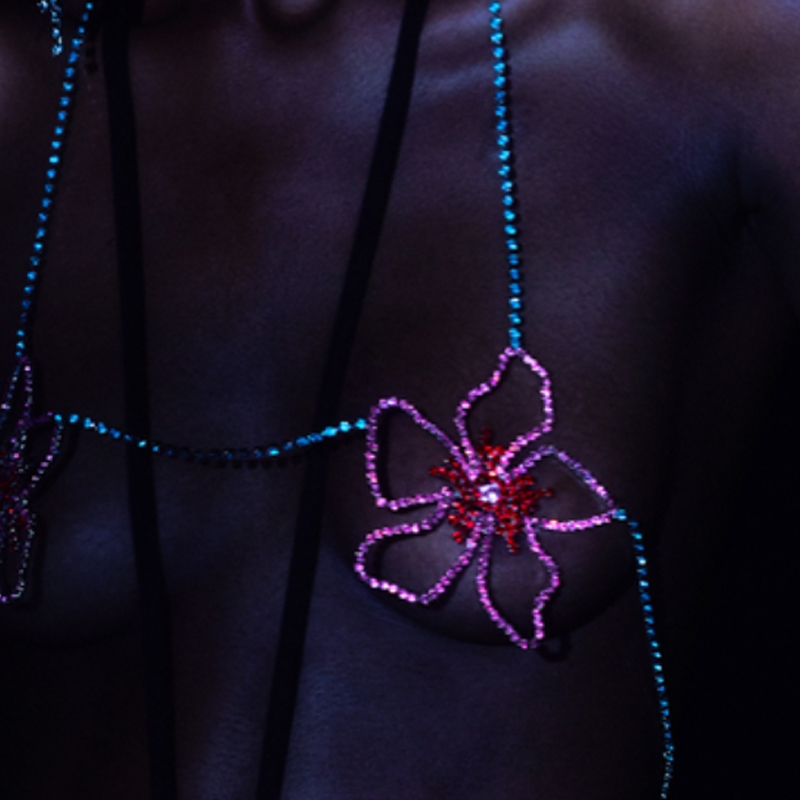 Stonefans Pink Flower Chest Ch - Women'S Fashion Harness 评论和价格